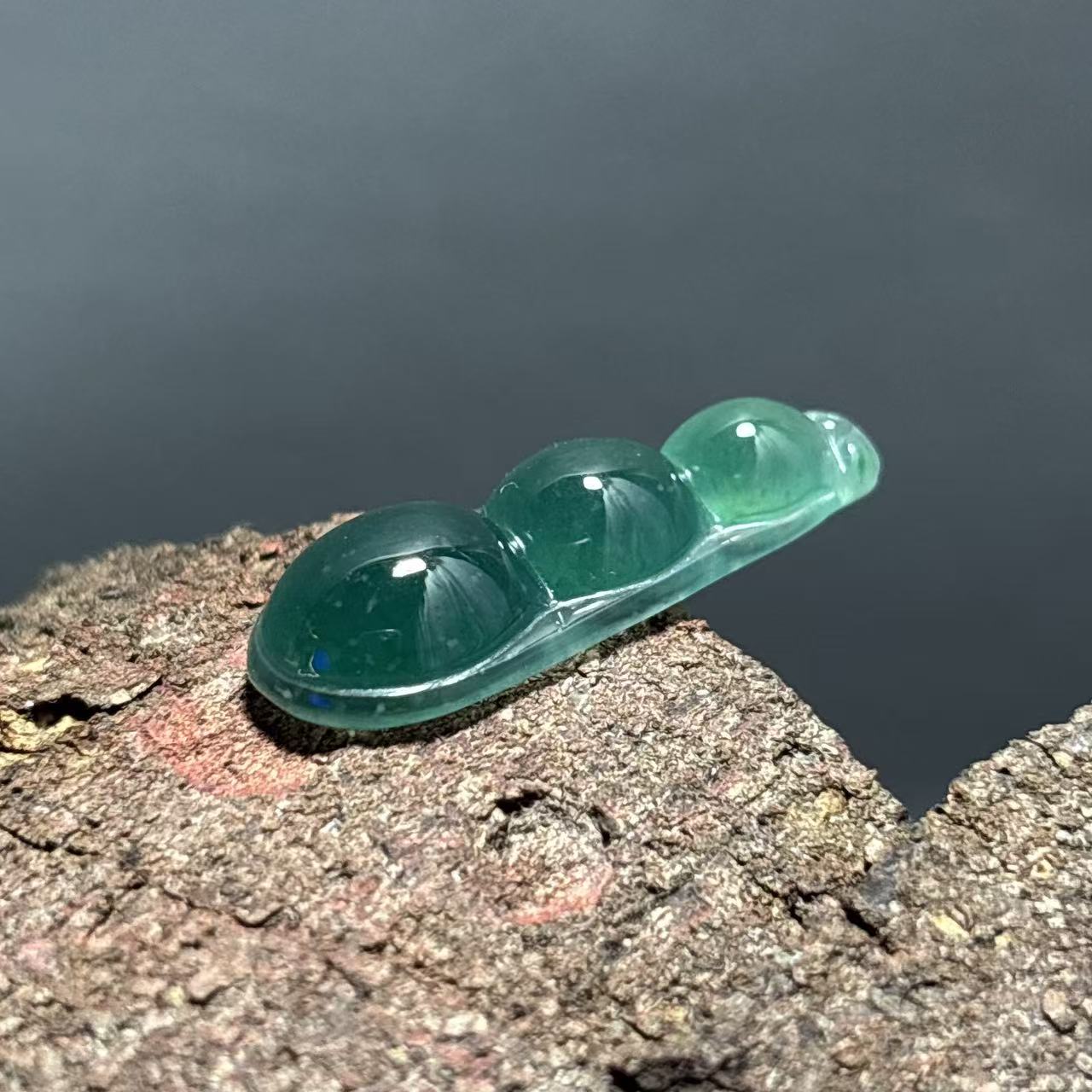危料翡翠福豆四季豆