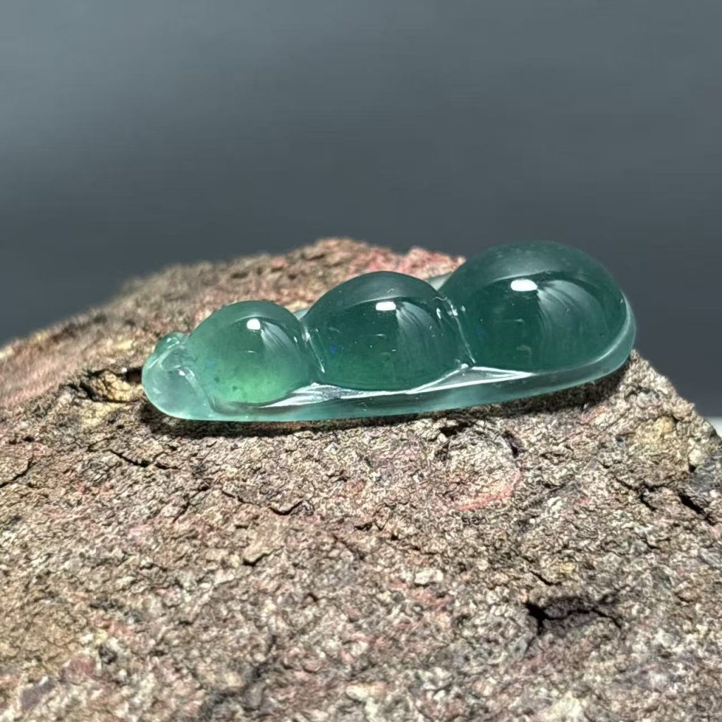 危地马拉翡翠四季豆
