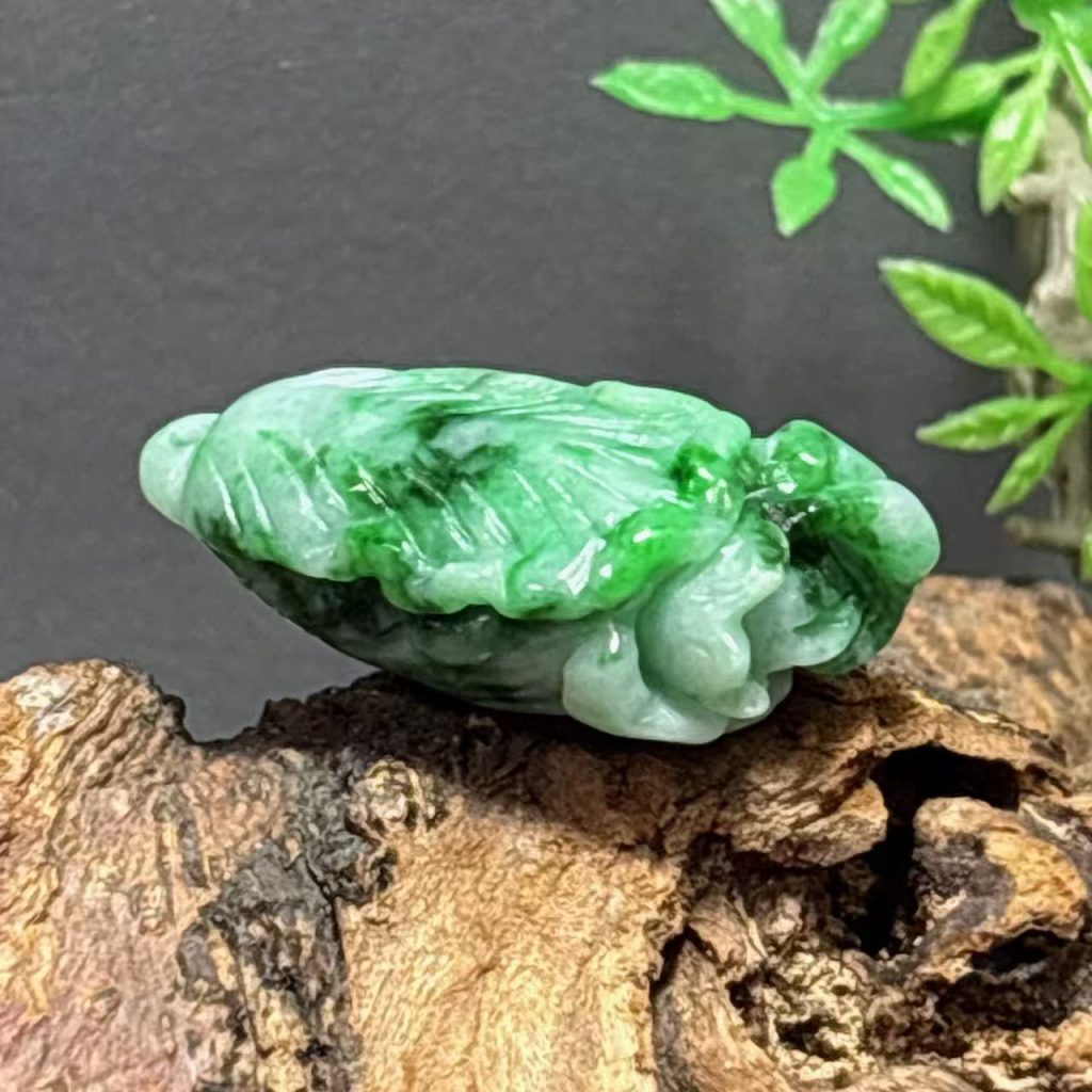 飘绿翡翠白菜