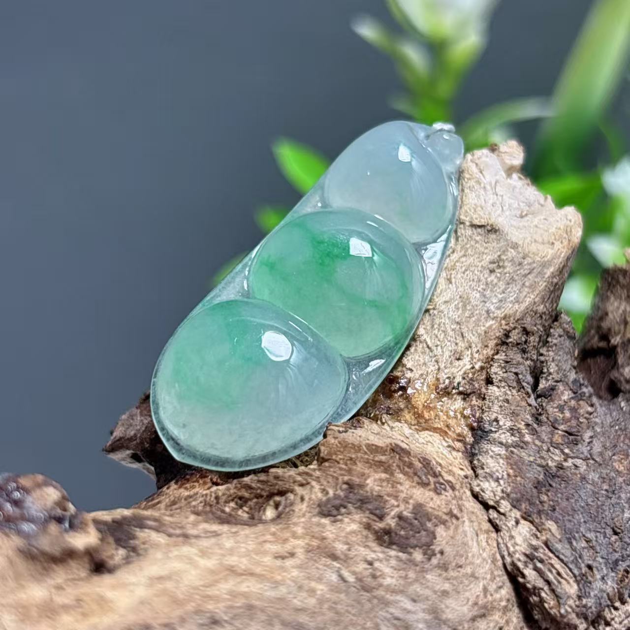 飘绿翡翠豆子