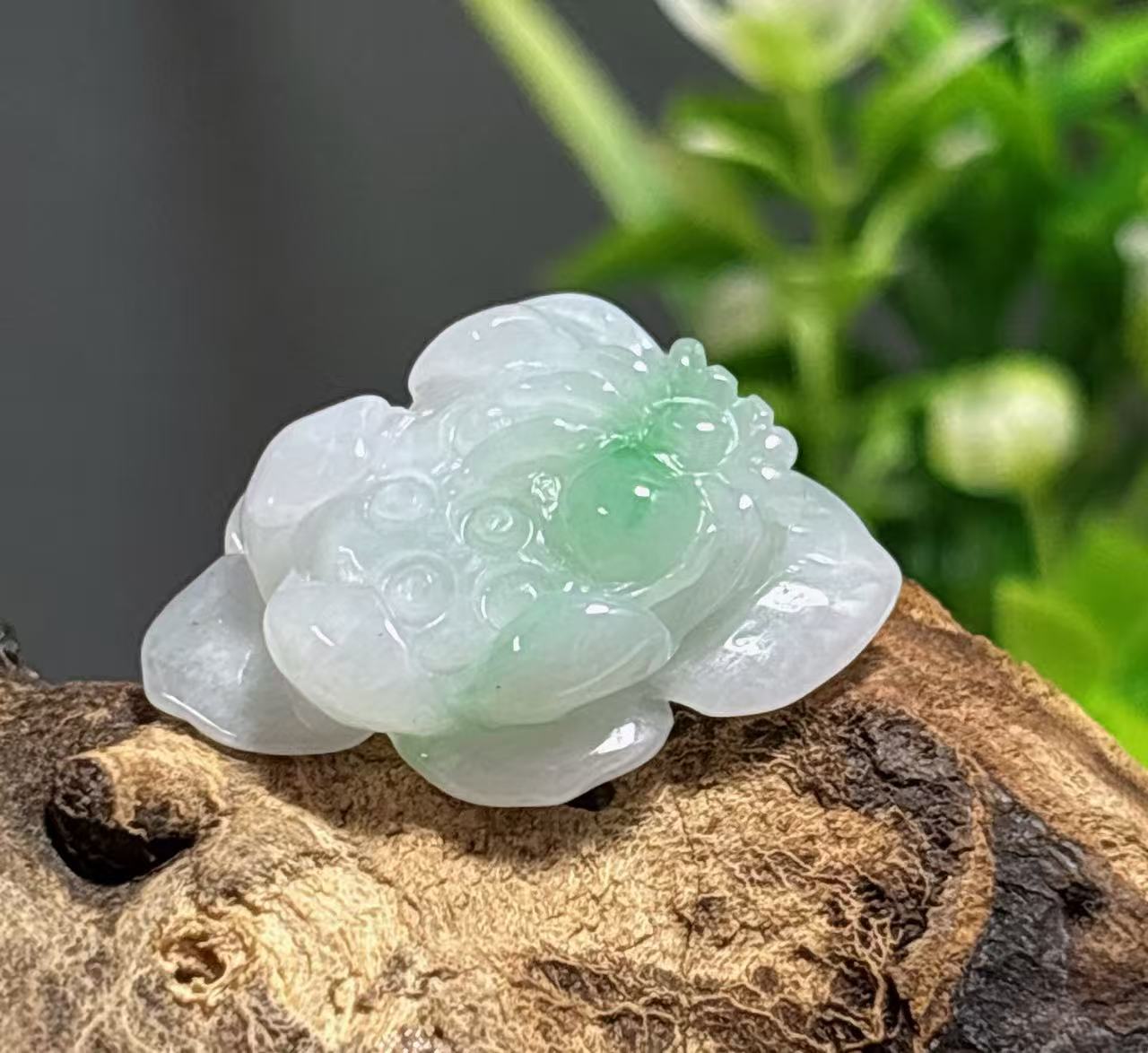 日寄：一块飘一点绿的小料，切一刀，雕刻一朵翡翠莲花。飘一点绿的那里雕刻一个小蜘蛛。