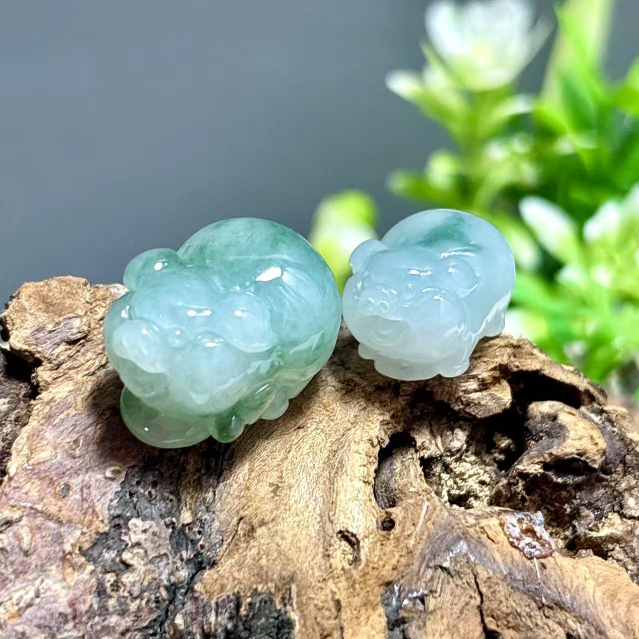科普:猪猪作为一种生肖,经常翡翠玉器的造型中出现,佩戴时有哪些讲究?另外在购买时价值如何判定?